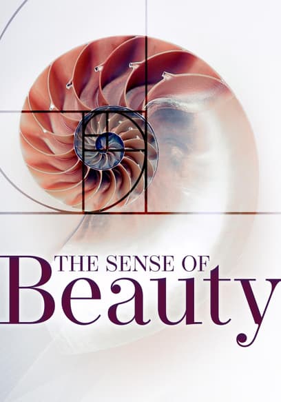 S01:E03 - The Formula of Beauty