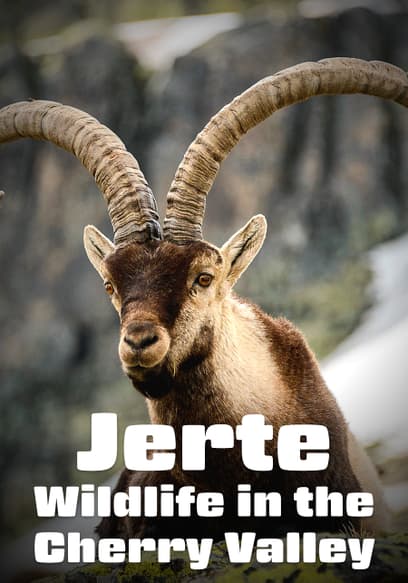 Jerte, Wildlife in the Cherry Valley