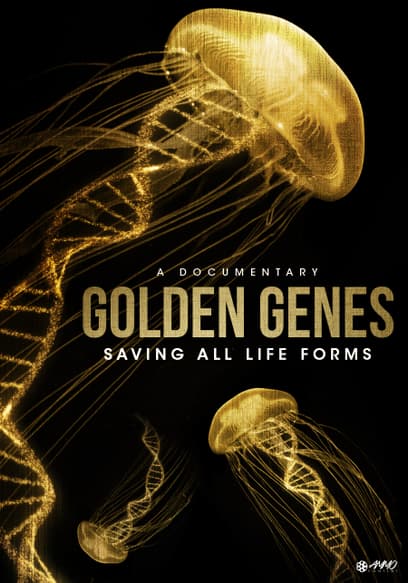 Golden Genes
