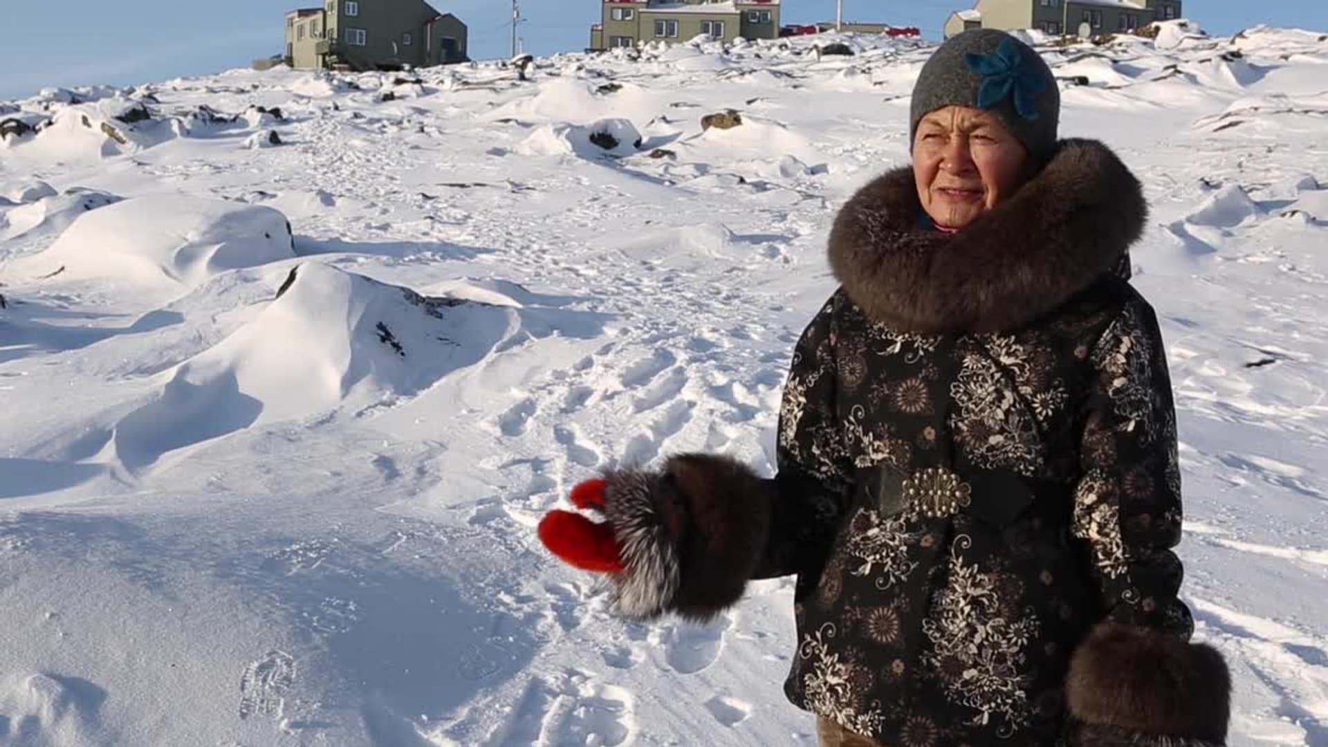 Watch Angry Inuk (2017) - Free Movies | Tubi