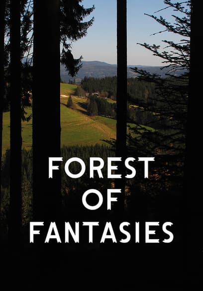 Forest of Fantasies