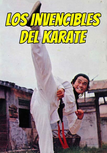 Los Invencibles Del Karate (Doblado)