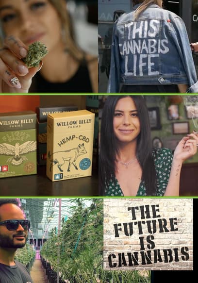 The Future Is Cannabis