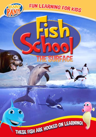 Fish School: The Surface
