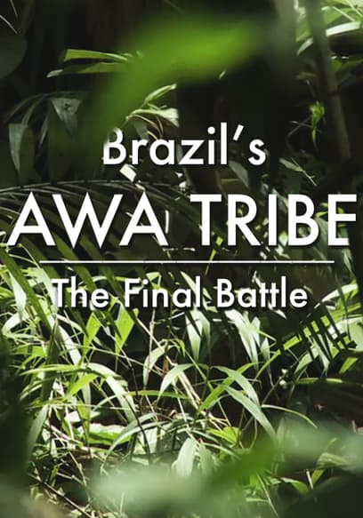Brazil’s Awa Tribe: The Final Battle