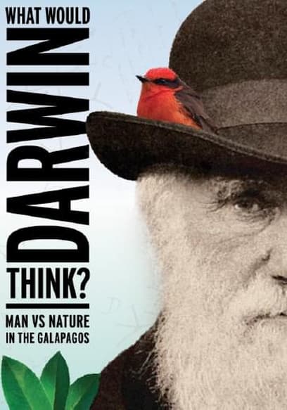 What Would Darwin Think?