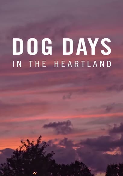 Dog Days in the Heartland