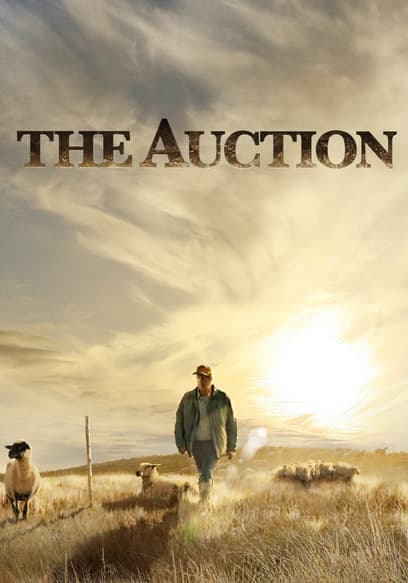 The Auction