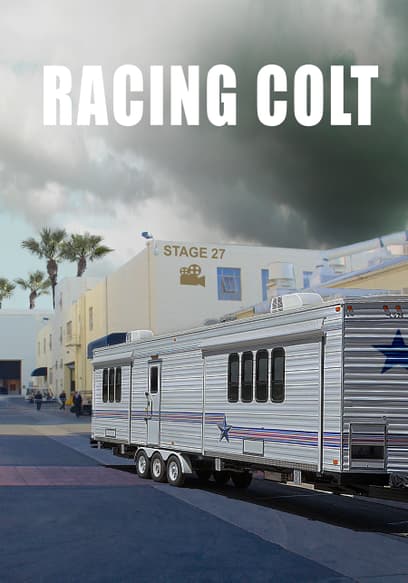 Racing Colt