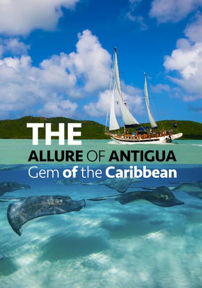The Allure of Antigua: Gem of the Caribbean