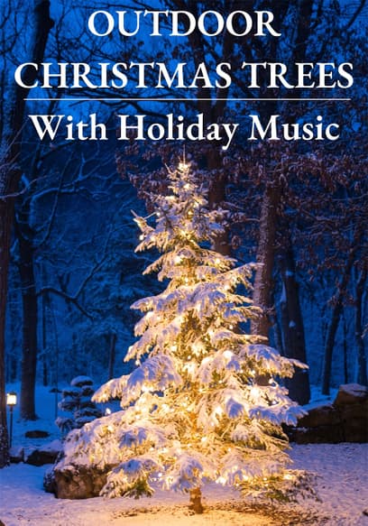 Outdoor Christmas Trees with Holiday Music