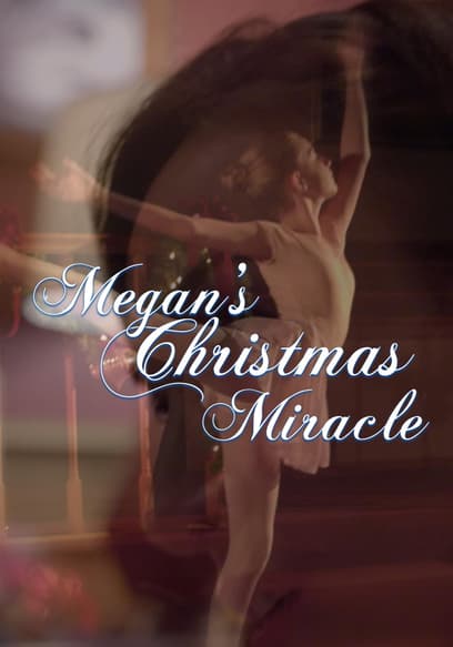 Megan's Christmas Miracle