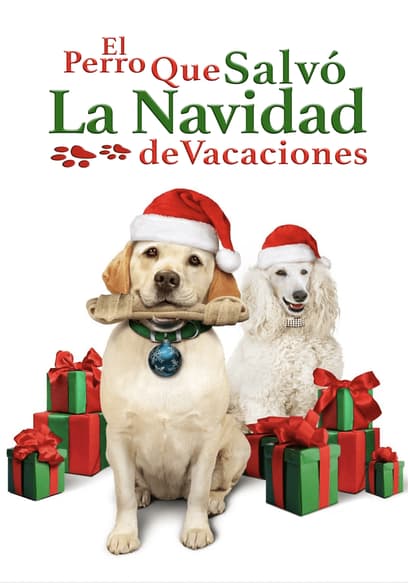 El Perro Que Salvó La Navidad De Vacaciones (Doblado)