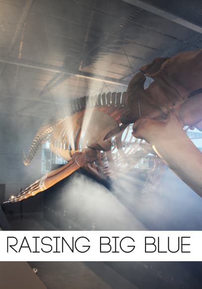 Raising Big Blue
