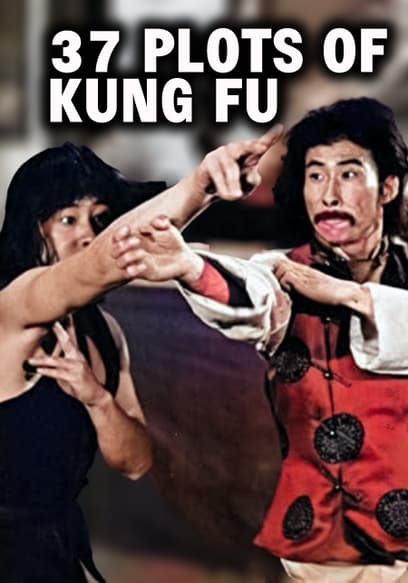 37 Plots of Kung Fu