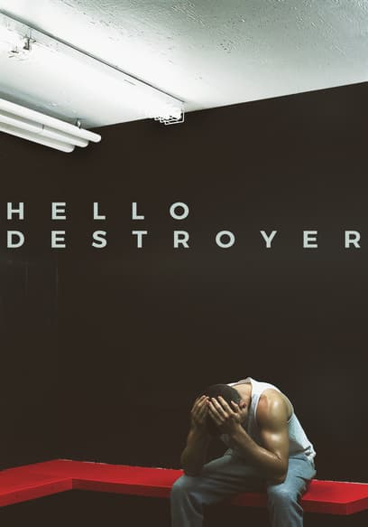 Hello Destroyer