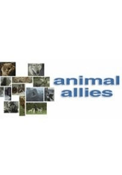 Animal Allies