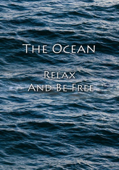 The Ocean: Relax and Be Free