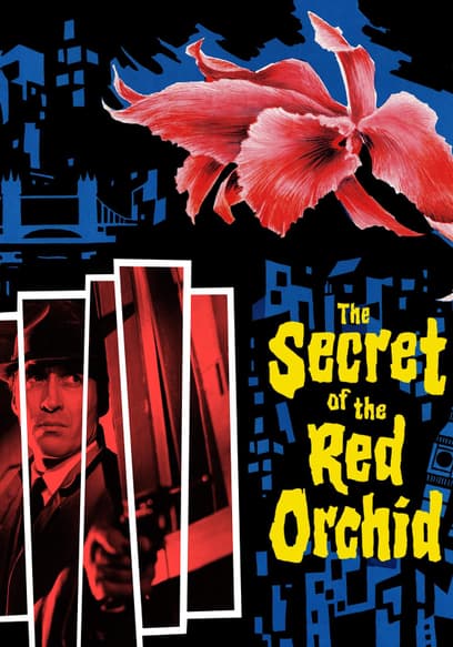 The Secret of the Red Orchid