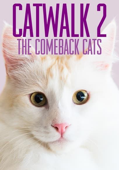 Catwalk 2: The Comeback Cats