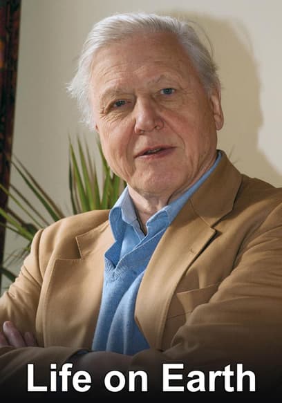 Sir David Attenborough: A Life on Earth