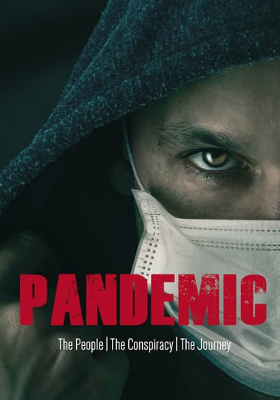 Pandemic: The People, The Conspiracy, The Journey