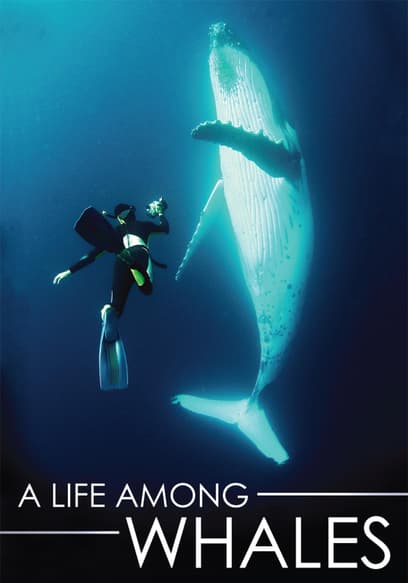 A Life Among Whales