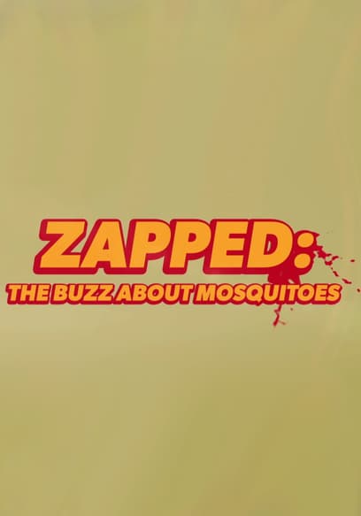 Zapped: The Buzz About Mosquitoes