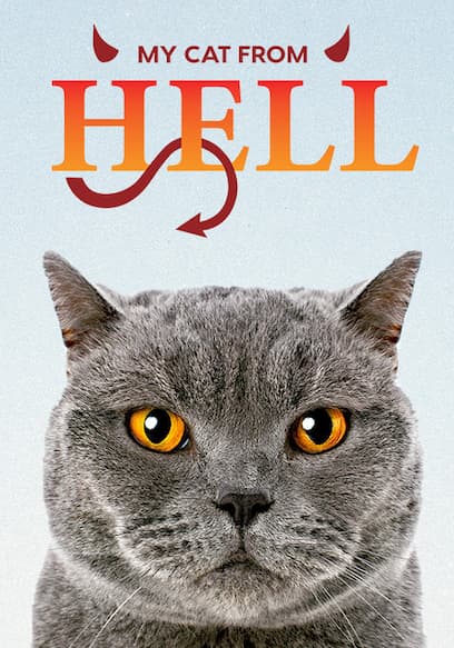 My Cat from Hell