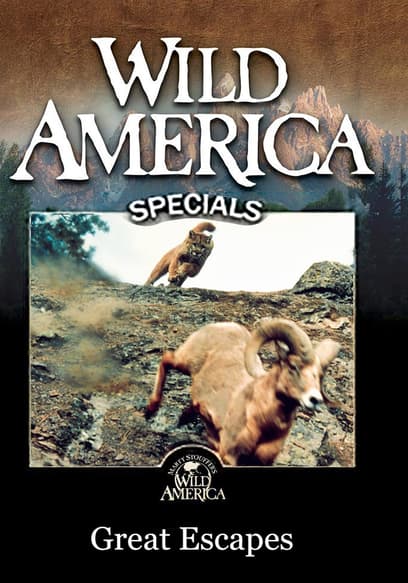 Wild America Specials: Great Escapes