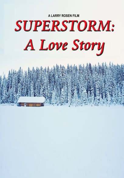 Superstorm: A Love Story