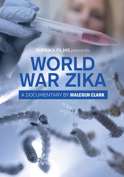 World War Zika