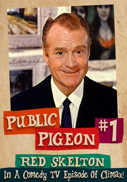 Public Pigeon # 1