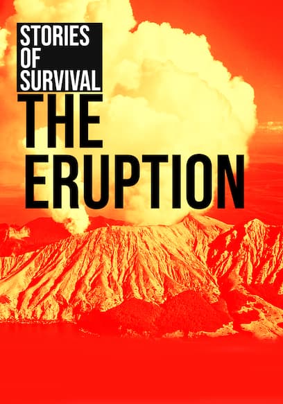 The Eruption: Stories of Survival