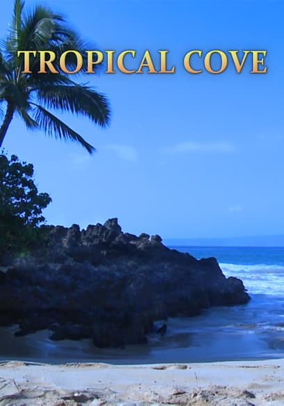 Tropical Cove