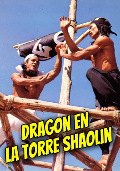 Dragon en La Torre Shaolin (Doblado)