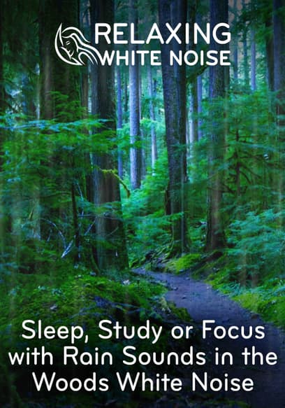 Sleep, Study or Focus With Rain Sounds in the Woods White Noise