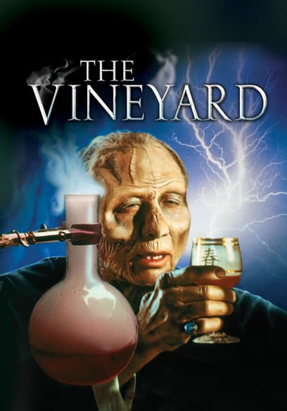 The Vineyard