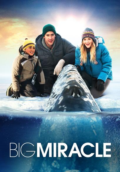 Big Miracle (International Version)