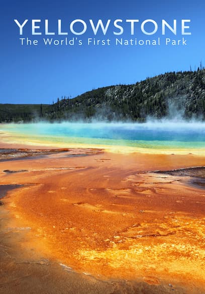 Yellowstone: The World's First National Park