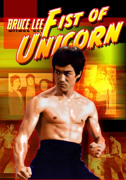Bruce Lee - Fist of Unicorn