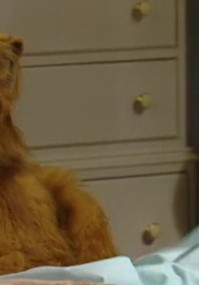 Watch ALF S01:E20 - Lookin' Through the Windows - Free TV Shows | Tubi