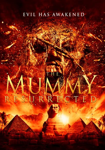 Watch The Mummy Resurrected (2014) Free Movies Tubi