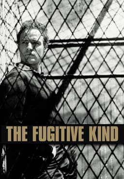 Watch The Fugitive Kind 1960 Free Movies Tubi