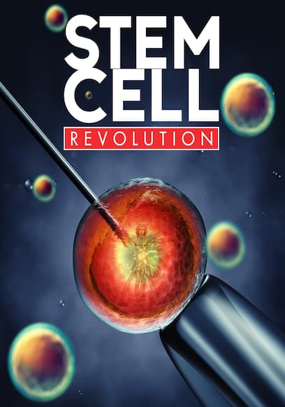 Stem Cell Revolution