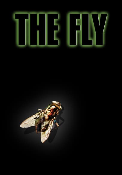 The Fly