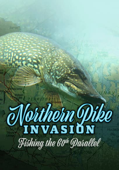 Northern Pike Invasion: Fishing the 60th Parallel