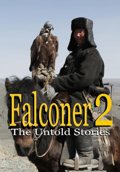 Falconer 2: The Untold Stories