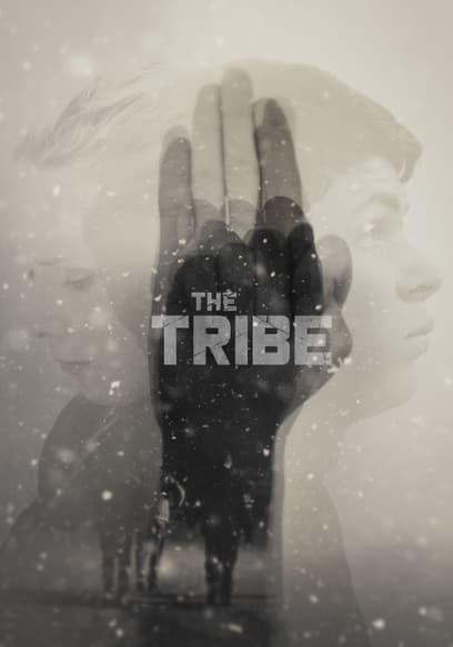 The Tribe