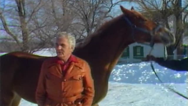 S01:E02 - The Chicago Horse Mafia